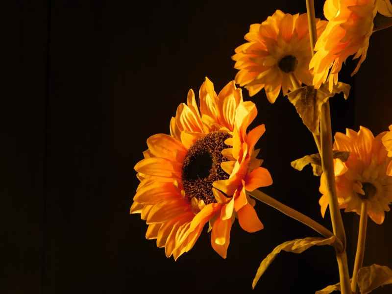 A Diagnosis – My MS Journey: Part&nbsp;2